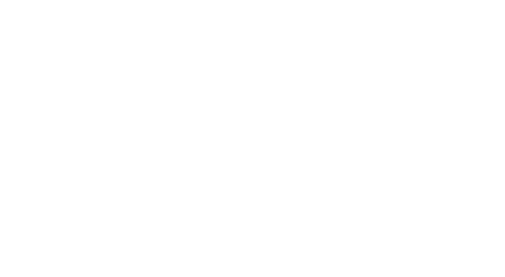 Het zwarte fietsplan