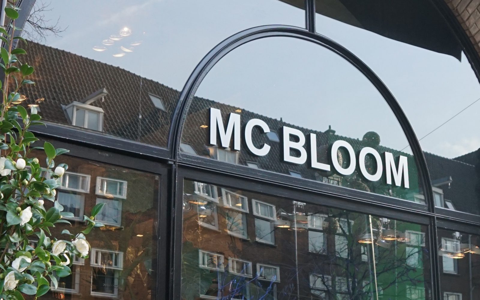 MC BLOOM