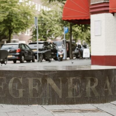 The Regenerator – Marina Abramović